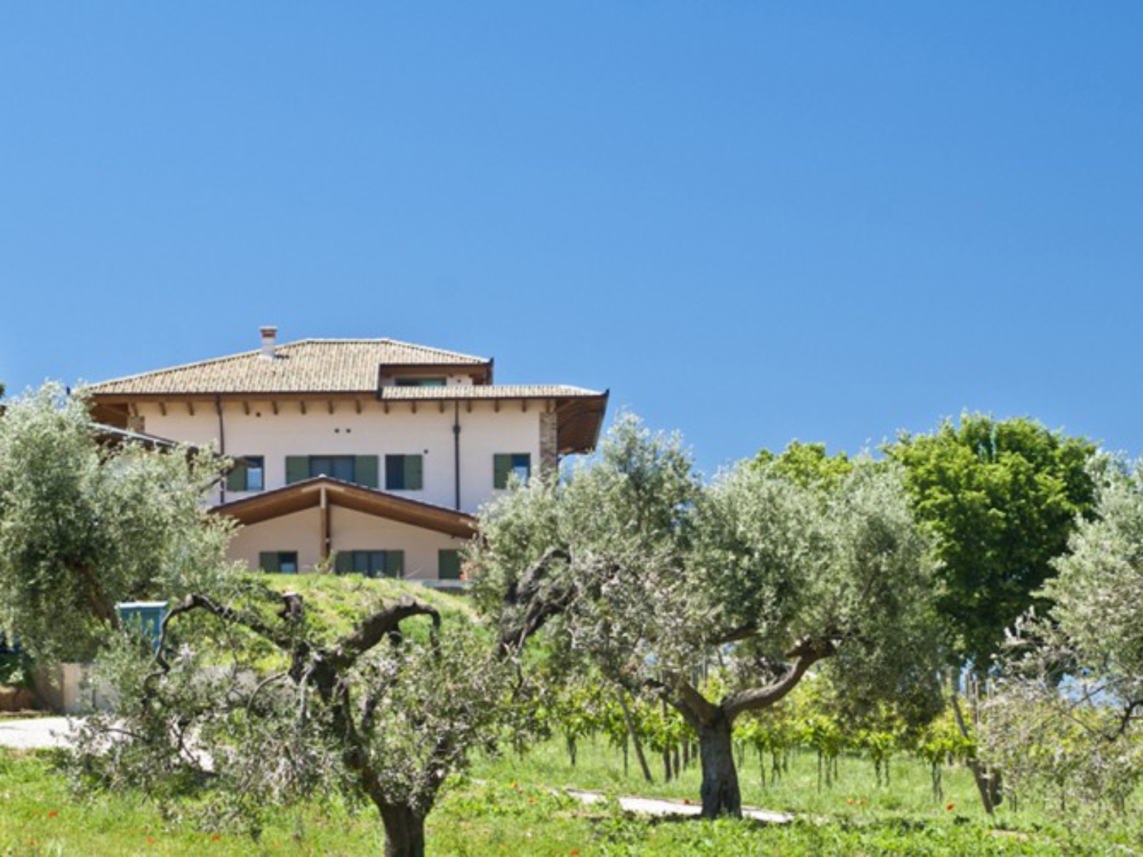 B&B Country House L’orso e l’ape – Giulianova (TE)