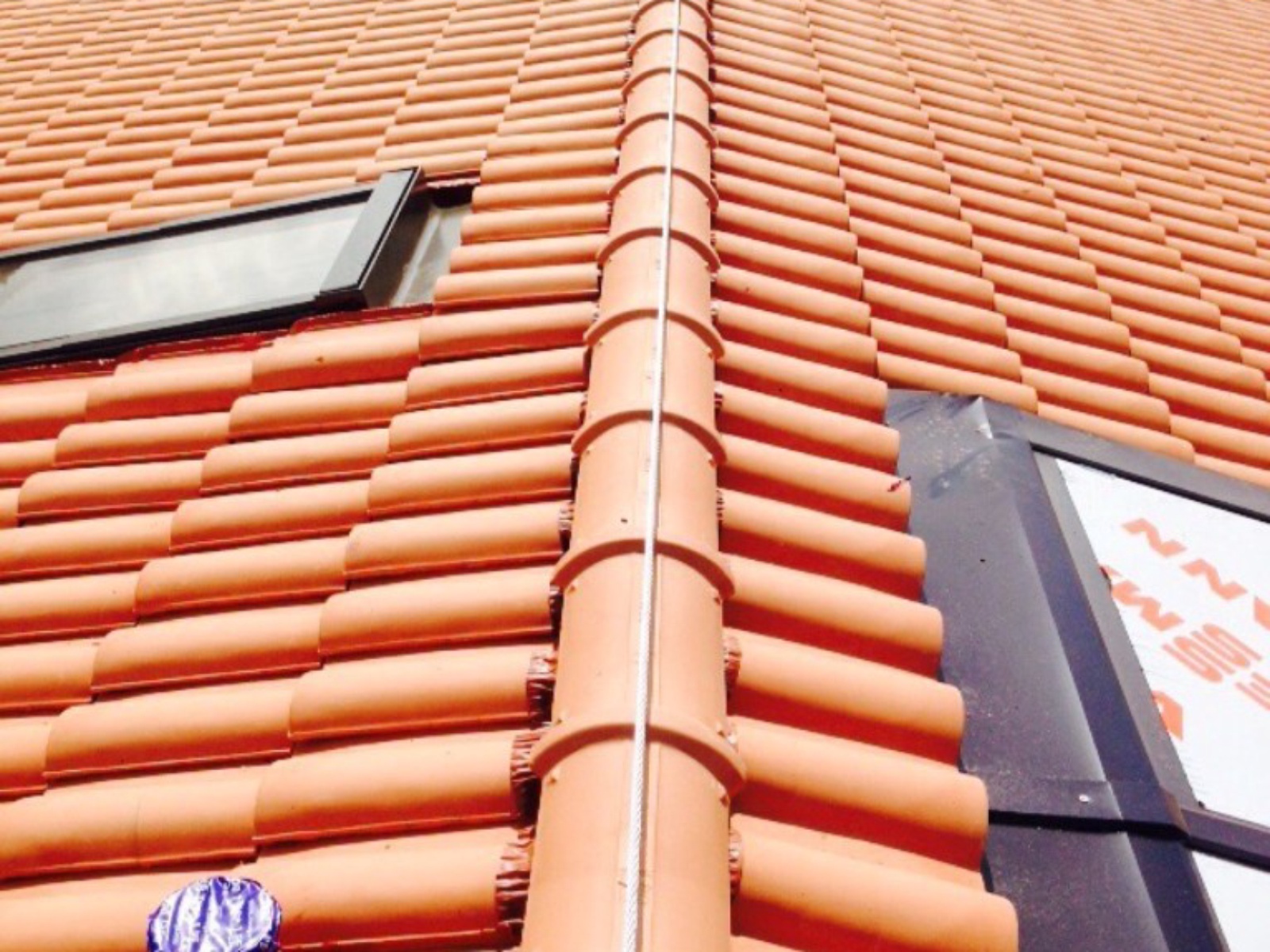 Viareggio (LU) AL01