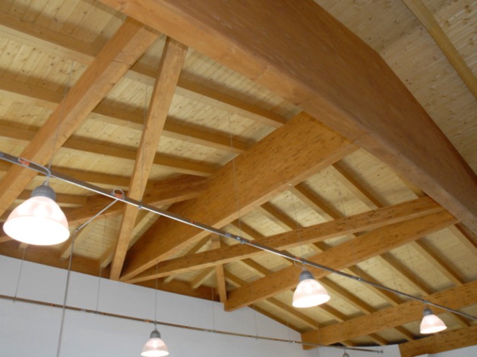 Struttura di copertura in legno  “Show Room F.lli Di Muzio” – Chieti
